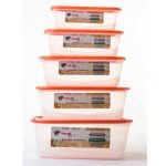 5 in 1 fridge container