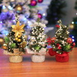 Christmas flowers