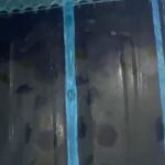 DOOR MOSQUITO NET