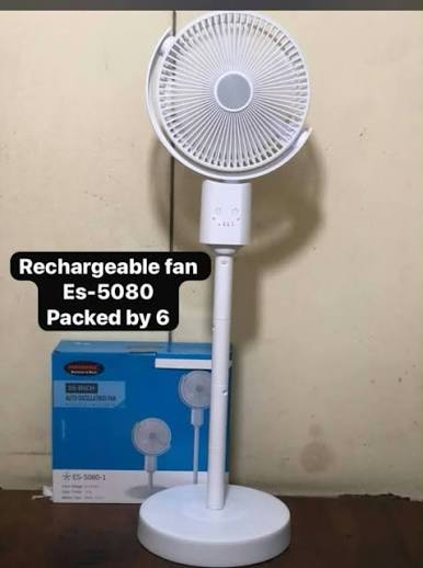 Euronic 10 inches auto oscillting fan